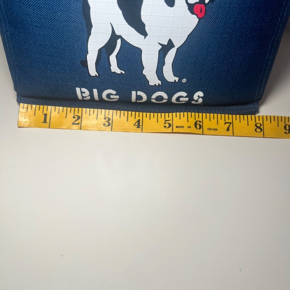 BIG DOGS Vintage Y2K Insulated Cooler Bag Lunch Box Retired With Strap - Picture 4 of 4